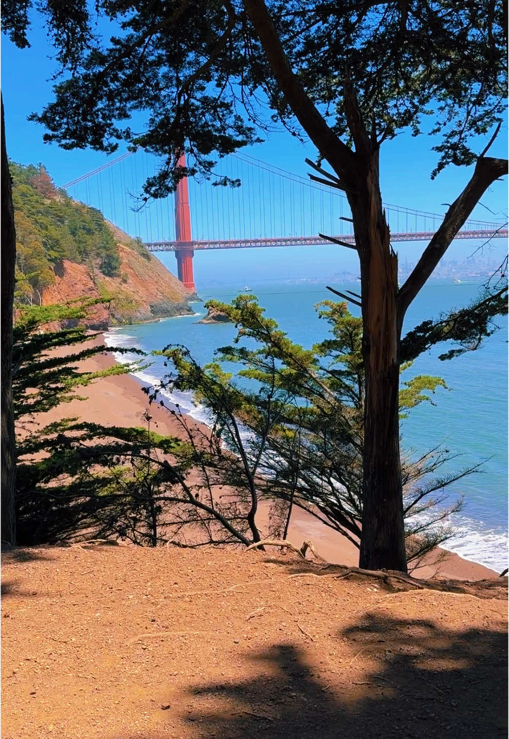 Hidden gem in the City 🌉 #goldengatebridgesanfrancisco #sf #sanfrancisco #thecity #nature #californiagems #hiddengems 