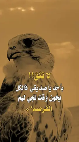 #تصميم_فيديوهات #اكسبلورررررررررررررررررررر #المصمم_ابوقارح_اكسبلور_ليك #محضور #عبارات_جميلة_وقويه😉🖤 