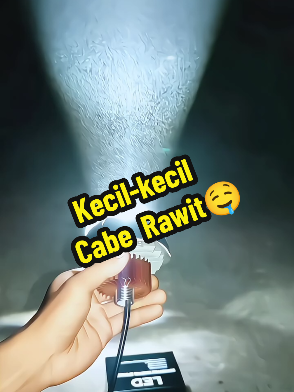 Kusebut dengan kecil kecil cabe rawit #projiebiled #biledmurah 