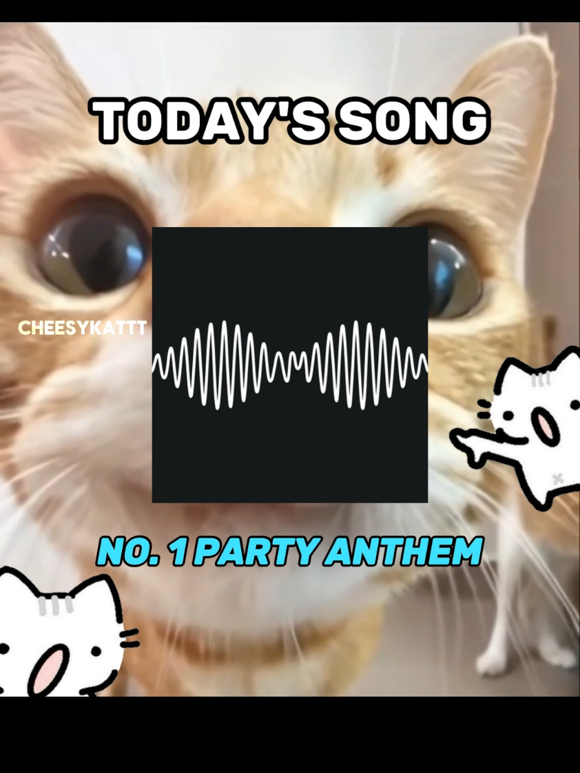Cat party anthem 🗣🗣 . . #fyp #catsoftiktok #catlovers #kitten #songoftheday #arcticmonkeys 