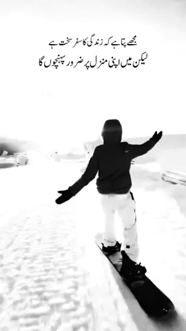 deep lines🍂🔥#urdupoer #2linepoetry #true_lines #true #truelines #true__word✌️ #attitude #awais_writes143 