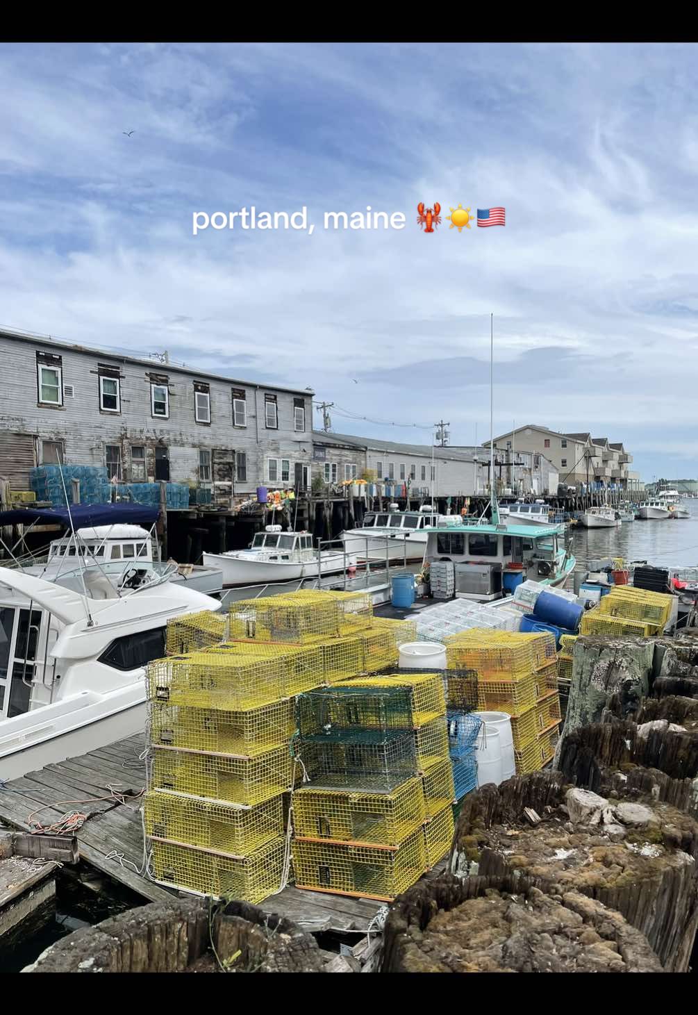 the lobster roll alone is worth the trip #mainelobster #mainetravel #mainetok #newengland #newenglandsummer #newenglandtravel #portlandmaine 