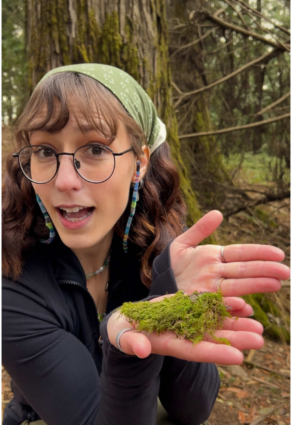 apologies in advance for the insane amount of puns. i can't help it. doing these videos awakens my inner... dad... anywhooo... MOSS! moss is such a fascinating little specimen. in this video, we dive into some of basics of moss. what is moss? why is it so unique from other plants? and you also get to meet my newest character, big red. if this video does well, who knows, maybe big red will make more appearances. either way, the looks i got on the trail from people out hiking that day made this entire thing worth it. also real ones know this is from a while back. ily.  let me know what other species you want to learn about! happy steppin'! #moss #bryophyte #mosslover #mosscore #nature #natureeducation #plants #PlantLover #mushrooms #forest #trees #DidYouKnow #funfact #mosslover #Hiking #hyoh #adventure #discover #explore #survivalskills #backpacking #camping #camper #discovery #foryou #reels #funny #fyp  