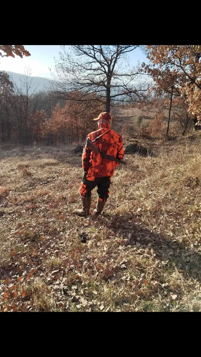 #priroda #šuma 🦊🦊🐗