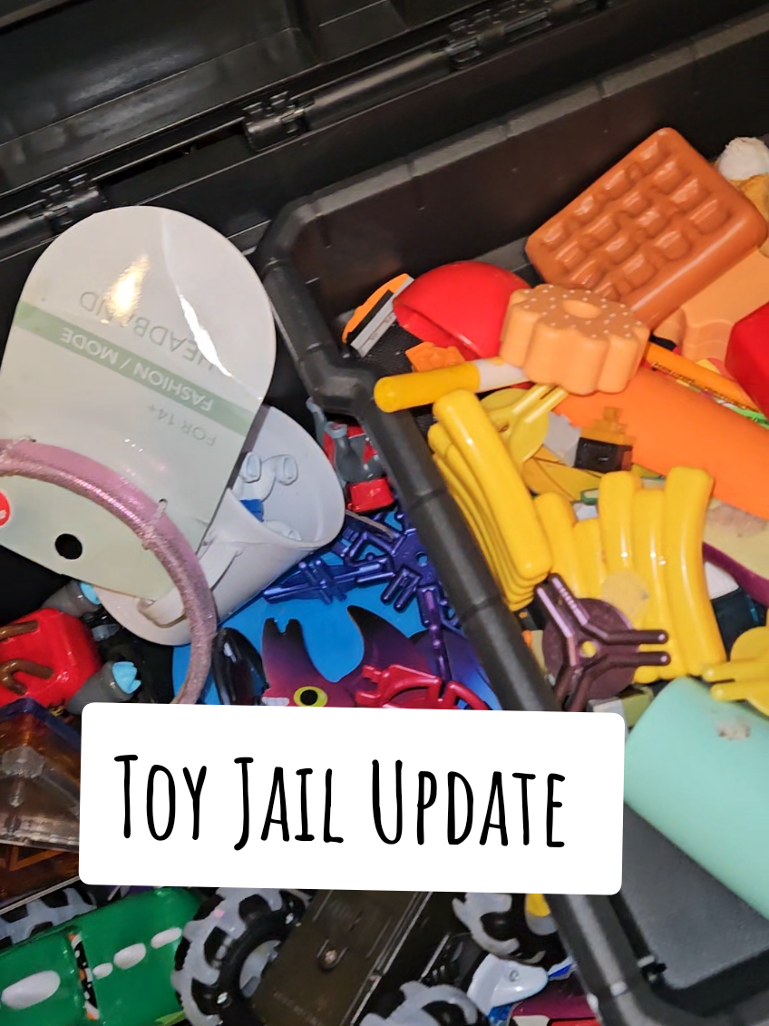 Replying to @kerrie07686 Here's a toy jail update. Just filled er up again from cleaning the living room. So we shall see what their jobs will be to bail out their toys this time and if the toys survive or if they meet Mr. Trash can. #toyjail #teachkidstoclean #consequences #toyjail #toys #clutter #declutter #momtok #MomsofTikTok 