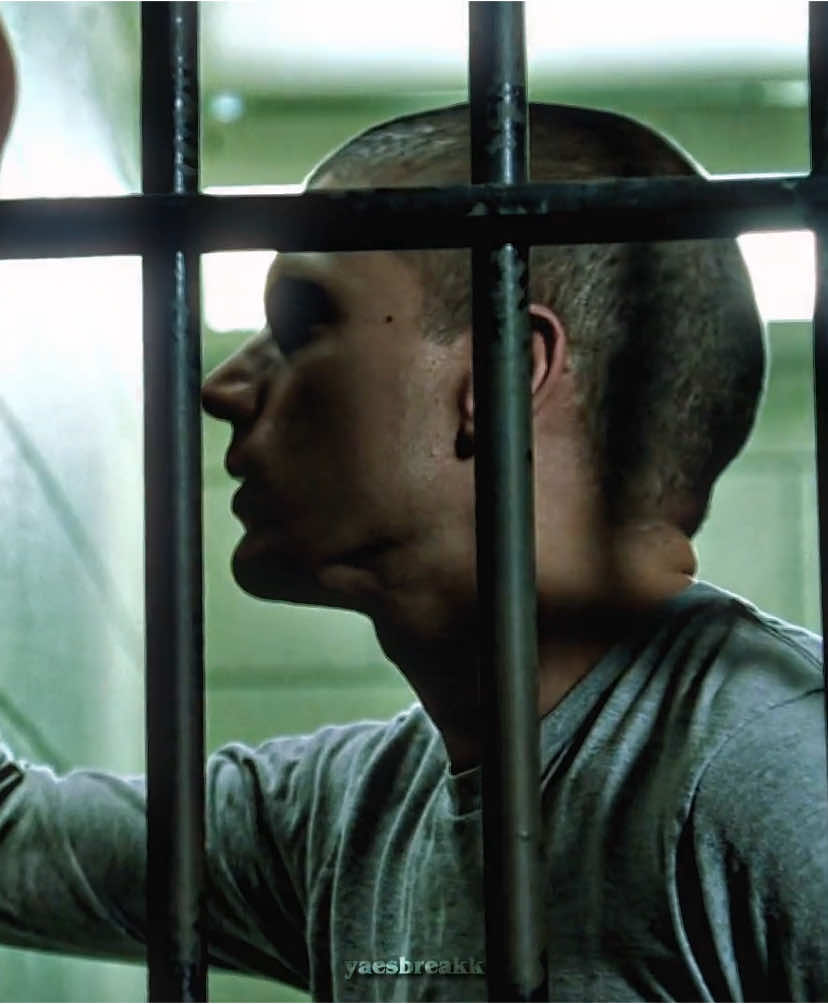 haywire is so me about the tatts…// #edit #prisonbreak #michealscofield #foryoupage #foryoupageofficial #viral #fypシ゚ #yaesbreakk #fy 