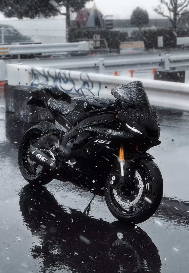 Eyes don’t lie🖤 #Yamaha #R6 #sportsbike #motorcycle #bikelife #biketiktok #YAMAHAR6