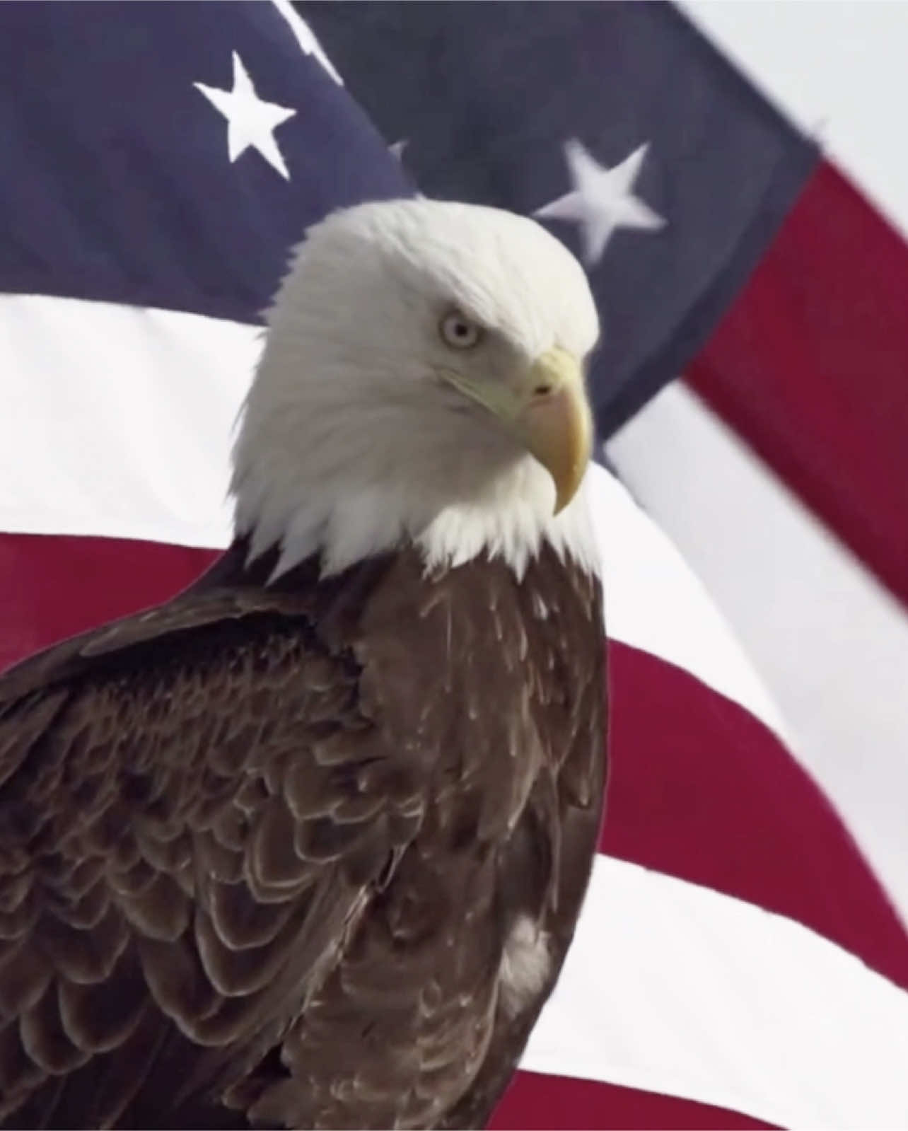 The Most Powerful Country In The World 🇺🇸 | #america #gottarepresent #maskoff #trend #american #americanhistory #represent #goldenageofamerica #powerfulcountry #foryoupage #creatorsearchinsights #foryou #viral