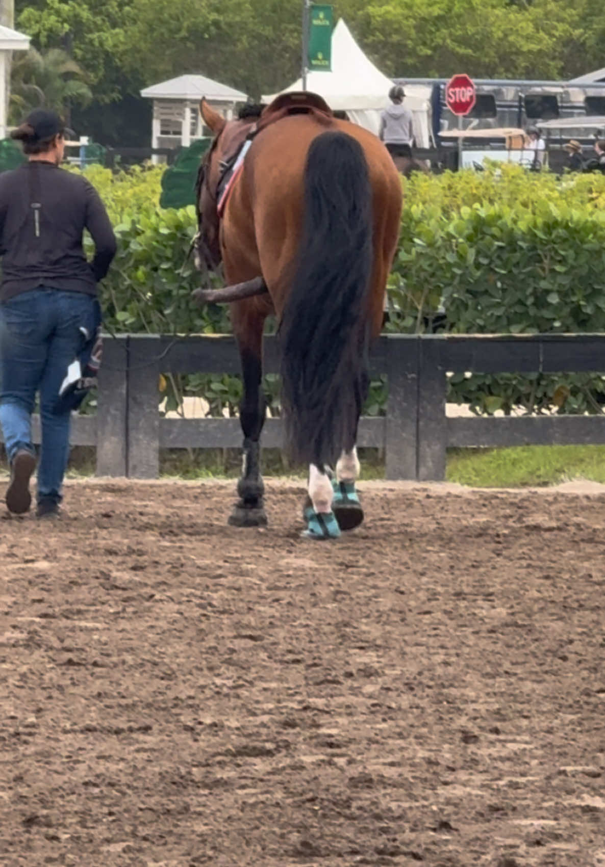 Yikes?! …. #wef 