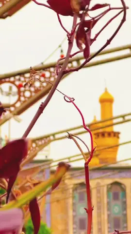 اَللّهُمَّ صَلّ عَلى مُحَمَّد وَ آلِ مُحَمَّد وَ افْتَحْ لي خَزائِنَ رَحْمَتِكَ ، وَ ارْحَمْني رَحْمَةً لا تُعَذِّبُني بَعْدَها اَبَداً فِي الدُّنْيا وَ الاخِرَةِ ، وَ ارْزُقْني مِنْ فَضْلِكَ الْواسِعِ رِزْقاً حَلالاً طَيِّباً لا تُفْقِرُني اِلى اَحَدٍ بَعْدَهُ سِواكَ ، تَزيدُني بِذلِكَ شُكْراً وَ اِلَيْكَ فاقَةً وَ فَقْراً ، وَ بِكَ عَمَّنْ سِواكَ غِناً وَ تَعفُّفاً . برحمتك يا ارحم الراحمين ..#جمعة_مباركة_عالجميع  #fypシ #fyp #viral #يارب #دعاء #صباح_الخير 