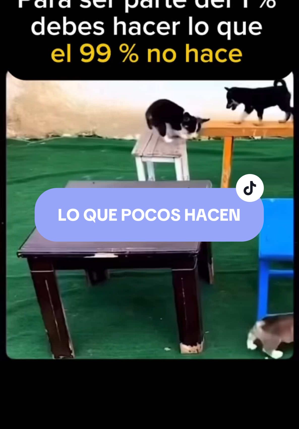 Lo que pocos hacen…