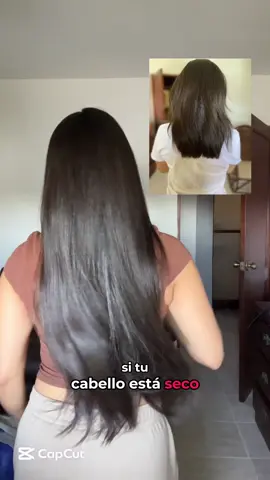 Este fue el cambio que salvó mi cabello después de cortarlo porque no crecía. No necesitas gastar una fortuna, solo necesitas hacer esto. #fyp #hairtok #hairtips #haircareroutine #hairtransformation @sharkbeautylatin @Shark Beauty #sharkflexstyle #sharkbeauty #CapCut 