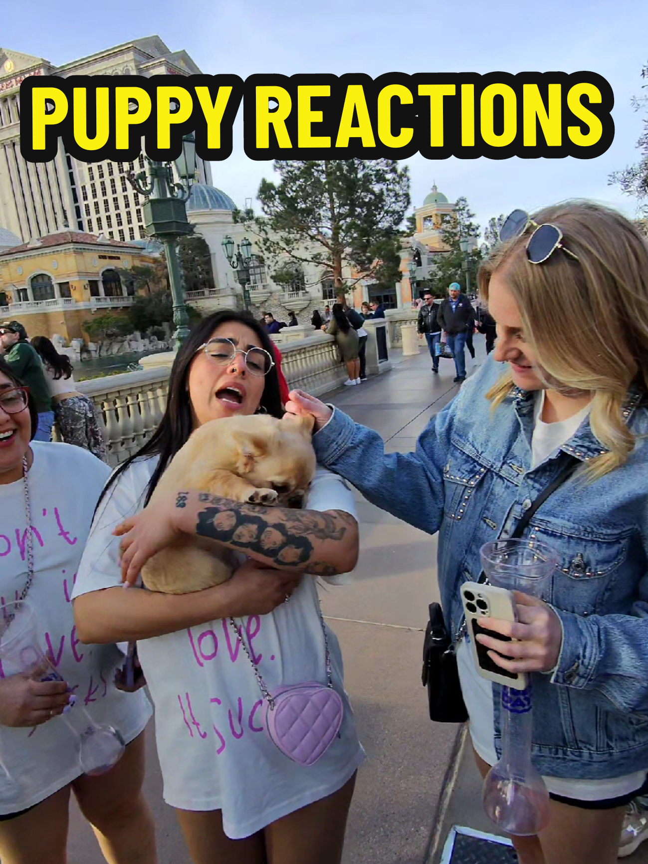 Why Everyone Loves French Bulldogs! Join me as I stroll through las vegas and capture the adorable reactions of girls meeting these fluffy French bulldogs! You’ll want one after watching this! #FrenchBulldog #CutePets #DogLovers #FluffyFriend #BarHopping #MustSee #fyp 