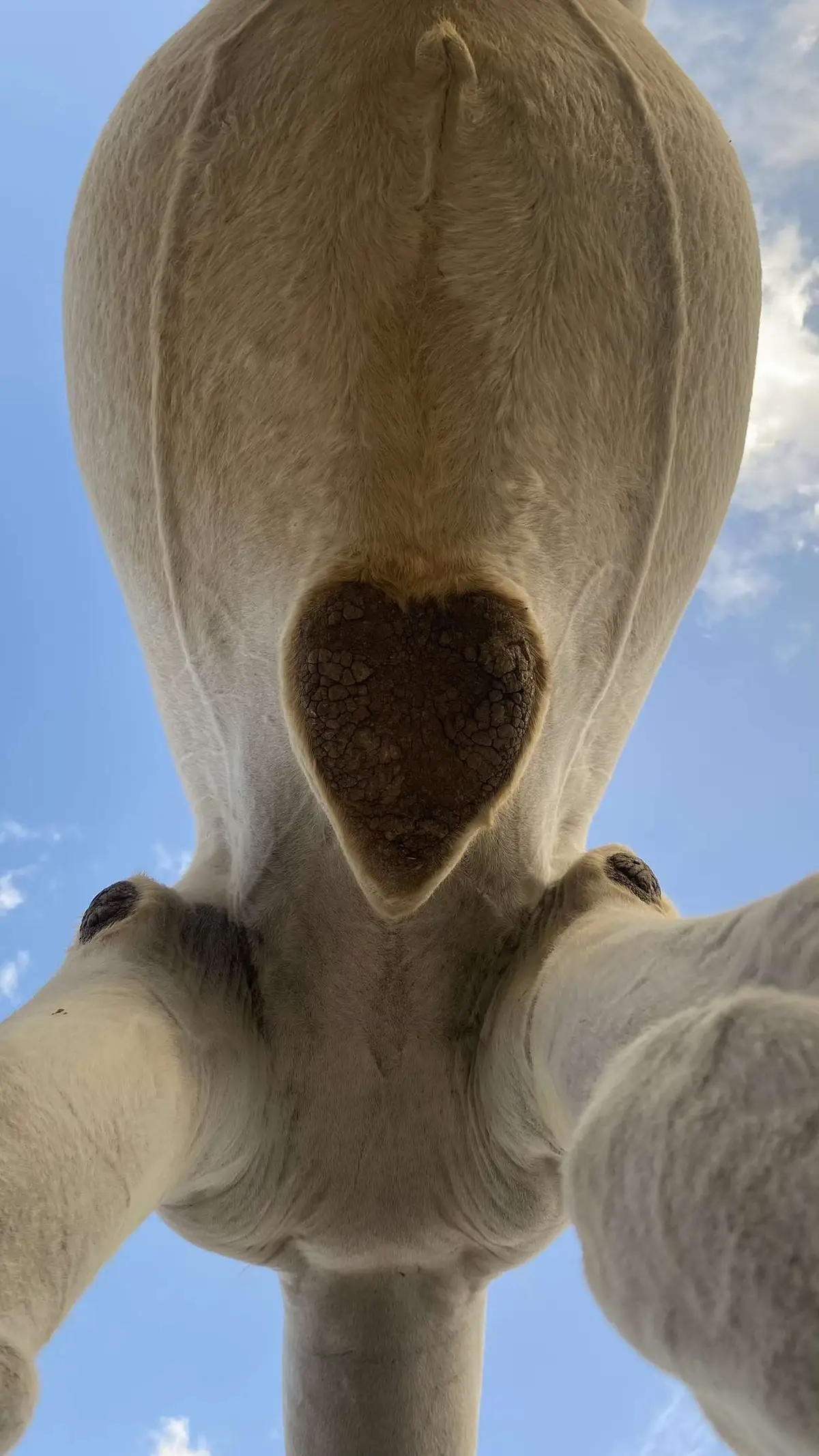 #4u #explore #fyp #البل 