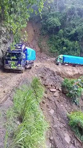 carretera alos yungas