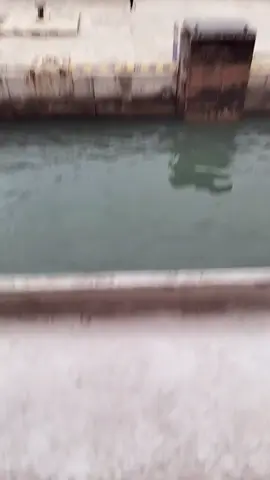 akhirnya bisa nglintas ke Lampung😇#penyebranganbakauheni #merakbakauheni #cctvbakauheni 