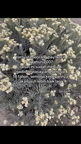 happy birthday to me 🎂🥳 #selamatulangtahun #birthday #ulangtahun 