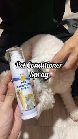 A must-have pet conditioner spray for your furbaby, no more messy hair thank you @Garfeel Daddy 🐶✨ #petconditioner #petconditionerspray #dogsoftiktok #doglovers #PetsOfTikTok #petcare #petsupplies #pethairremover #garfeeldaddy 
