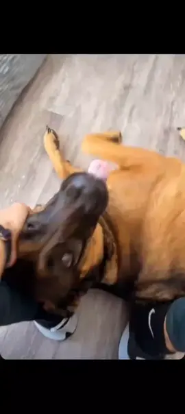 I miss you 💕💕 #philippines #fyp #loveyou 