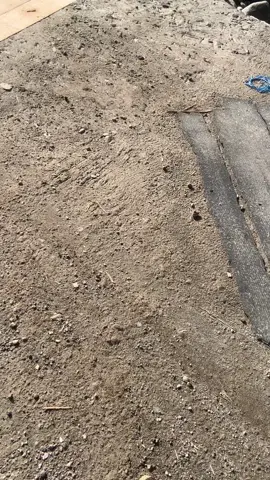 #choppycubindonesia #chooperlife #choppycub #chopperkampung #choppy #chopperhits 