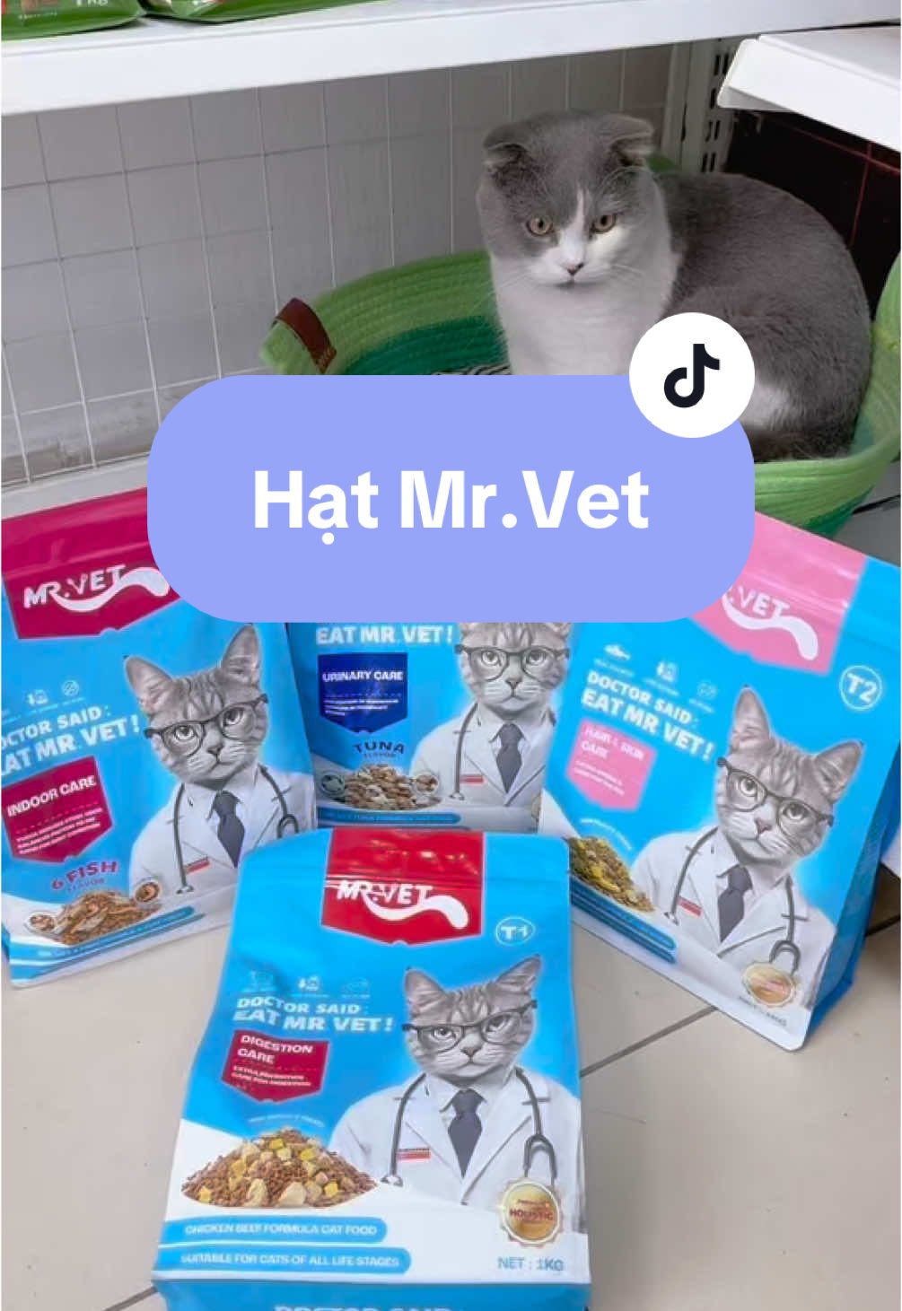 #kempet #kempet177ngogiatu #reviewhatmeo #hatmrvet #thucanchomeo #mèocute 