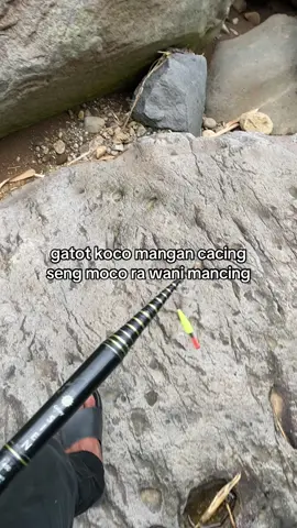 wani pora #mancing #storymancing #mancingliar #fyp #foryou #masukberanda #karanganyar24jam 