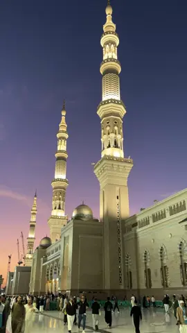 Post Fajr in the Haramain #madina #fajr #islamic_video #nabi #medina 