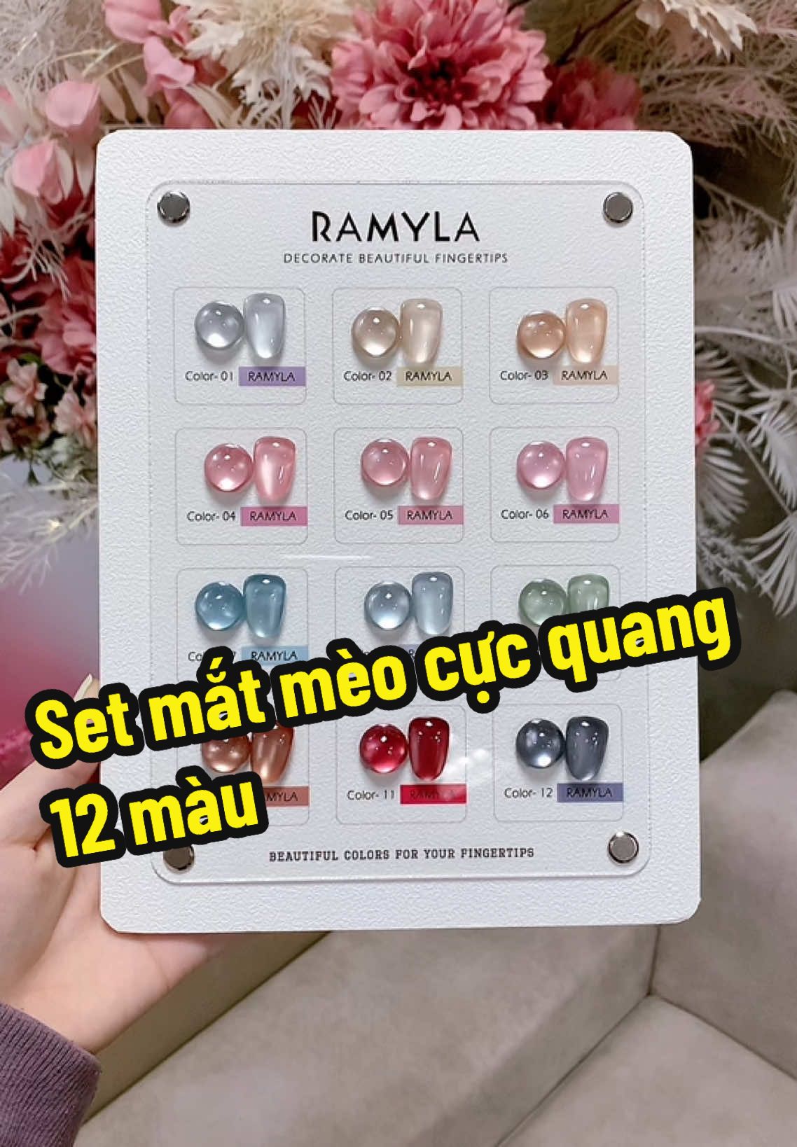 Set mắt mèo cực quang 12 màu#nghithao #nghithaonail #nail #ramyla 