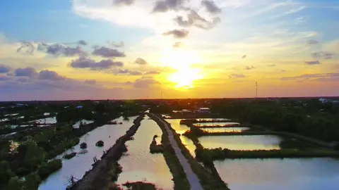 Chim tung bay hót vang trong bình minh📷📷#flycam #camau 