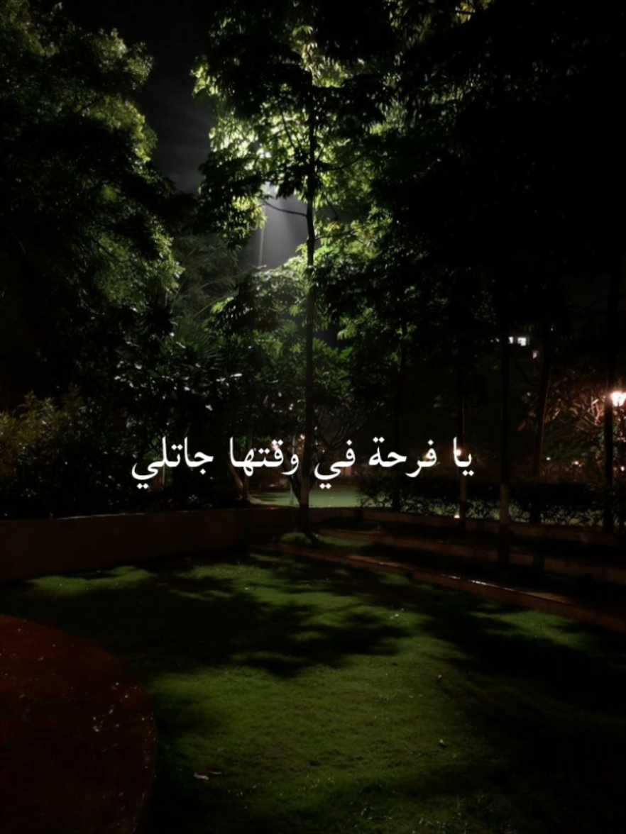 يا فرحة في وقتها جاتلي✨❤️ #fyb #viral_video #forupage #تصميمي #تصميم_فيديوهات🎶🎤🎬 #حماقي #hamaki 