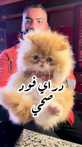 دراي فود للقطط صحي زي ماطلبتم 😱😱#دايت #دايت_صحي #healthy #Fitness #diet #هيلثي 