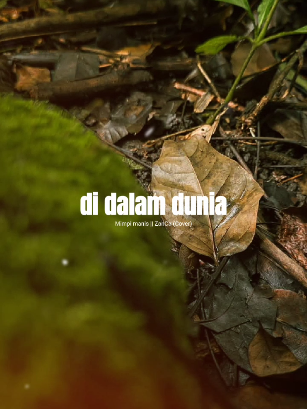 DI DALAM DUNIA HANYA ENGKU YG KU CINTA 🤭🤭🤭 ( KATA BUAYA) 😂😂😂#liriklagu #mimpimanis #COVER #zanca #overlay #templatecapcut #CapCut #fyp 