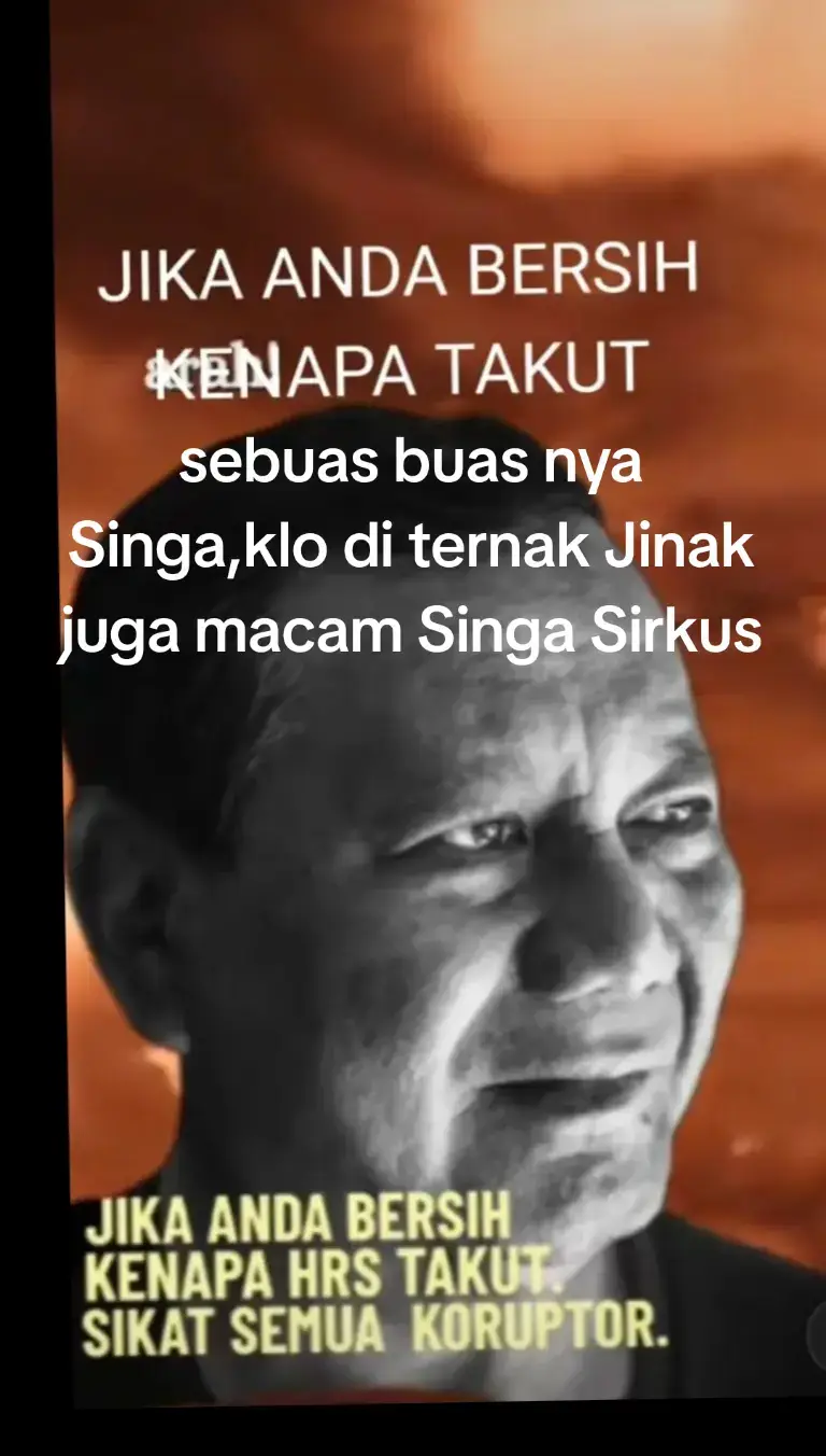 pecinta NKRI#fypppopppppp 