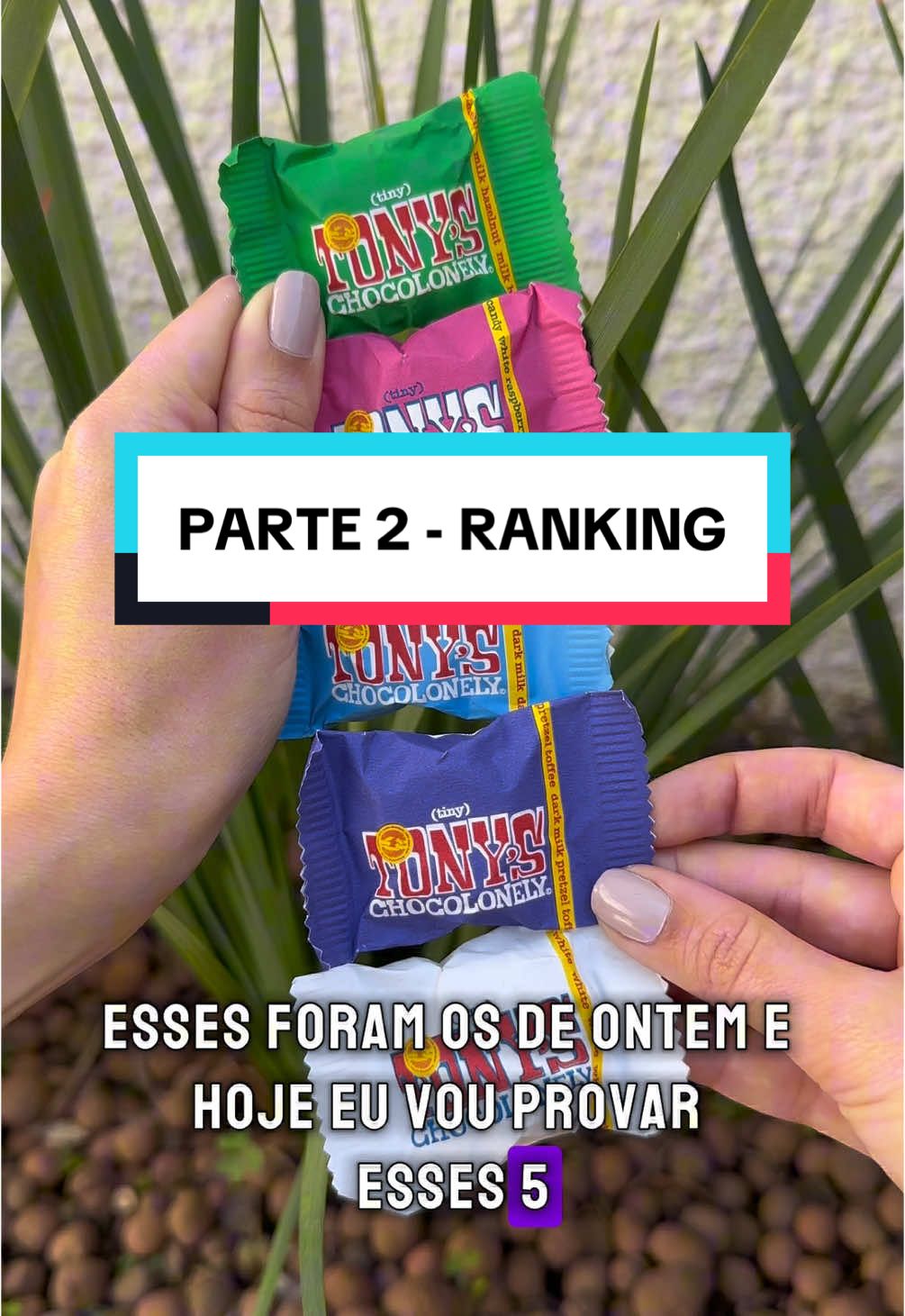 Respondendo a @Foca no Sabor Parte 2 - Ranking final! #focanosabor #tonys #tonyschocolonely 