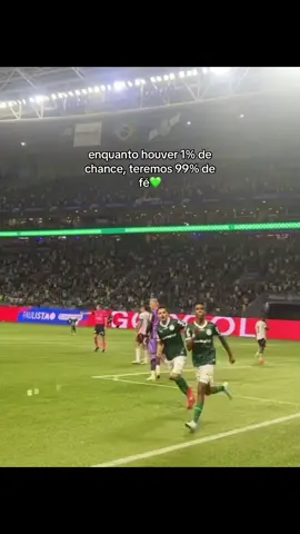 #palmeiras #palmeirasoficial #palmeirasminhavidaevoce #palmeiras_online #palmeirascampeao #palmeirasmilgrau #manchaverde #manchaverdetorcida #avantepalestra #avantepalestra💚💚 #palestraitalia #palestraitalia🇮🇹 #vaiprofycaramba #vaiprofy #💚💚💚 #🇮🇹 #avantipalestra #amor 