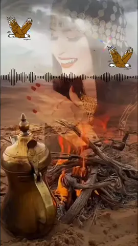 #دمتم_بالخير_والسعاده_اينما_كنتم #🌹🌹🌹 #هاشتاق #اكسبلور #فلتر_تعديل_الصوت #tik_tok #tiktok_india #يامرحبا بكل غالي #❤️ 