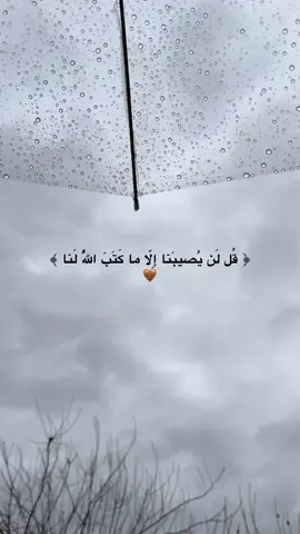 ‏﴿ قُل لَن يُصيبَنا إِلّا ما كَتَبَ اللَّهُ لَنا ﴾🤎🤲🏼#oops_alhamdulelah 