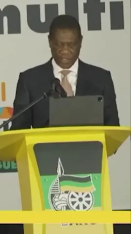 South Africa's Unexpected $4 Billion Trade Surplus with the USA