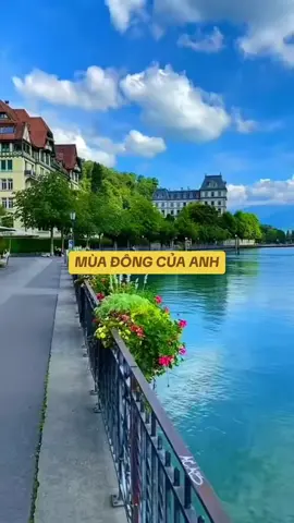 🌸🌸❤️❤️🍀🍀💖💖🌼🌼