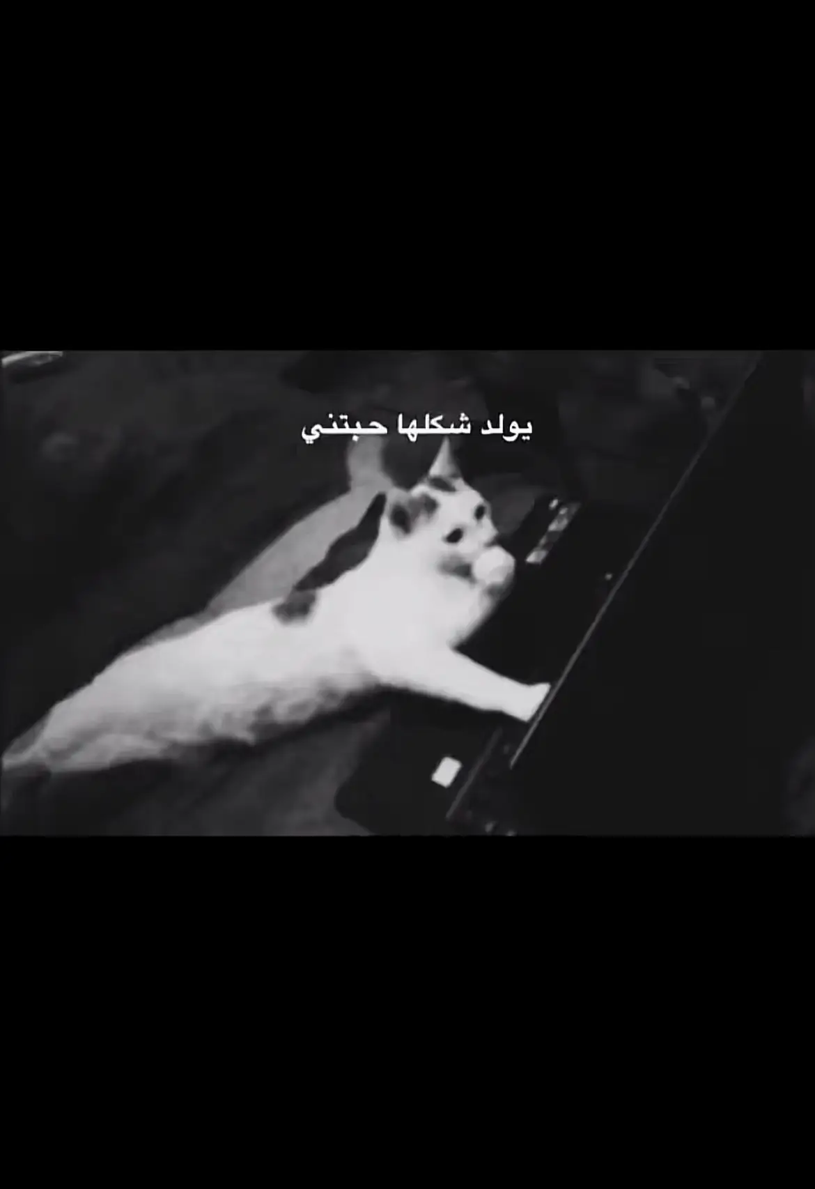 #طقطقه_ضحك_مقاطع_وناسه #ضحك😂 #نمزح #رياكشن #explore #الشعب_الصيني_ماله_حل😂😂 #عشوائيات_مصورة🤣🤍 