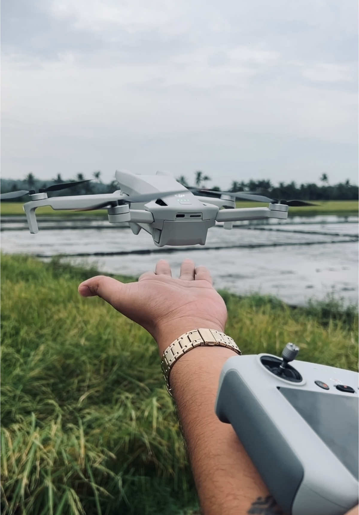 Dji MINI 3 First Fly 🍃⛰️. #dji #djimini3 #firstfly #newtiktok #viralvideo 