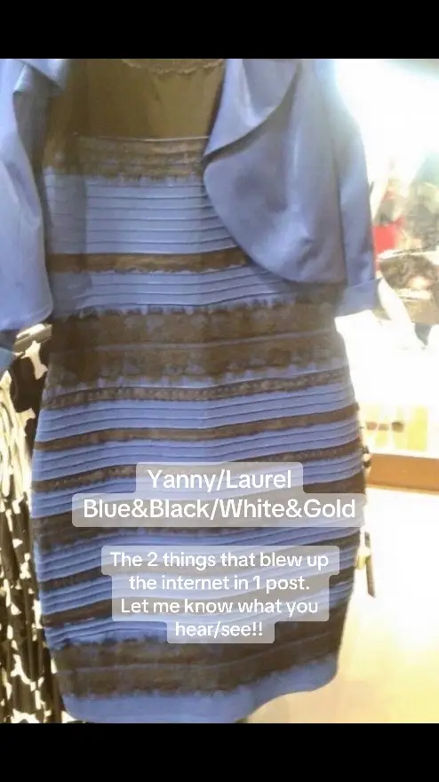 The infamous white and gold or blue and black dress debate! As well as Yanny or Laurel sound! What do you think?? #fyp #brainrot #blueandblackdress #yannylaurel 