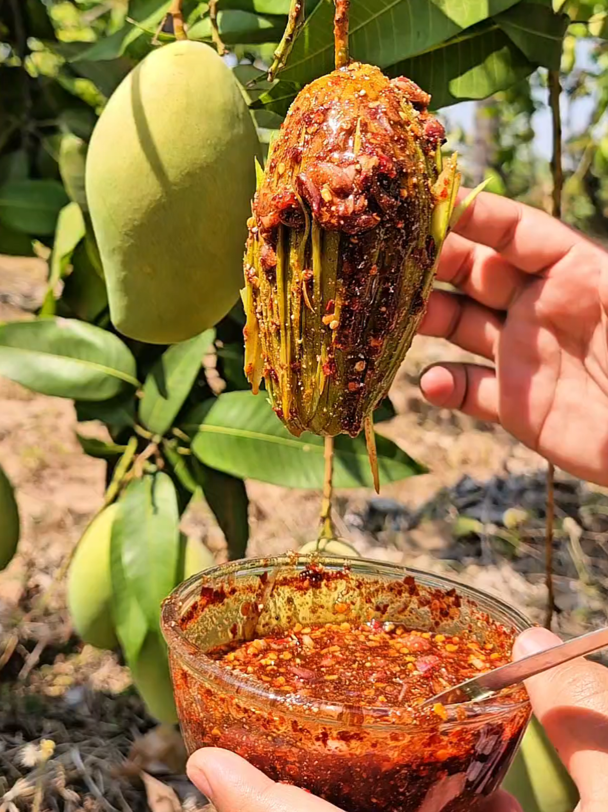 มะม่วงพริกน้ำปลาหวาน #yummy #eat #eating #กินโชว์ #yummyfood 