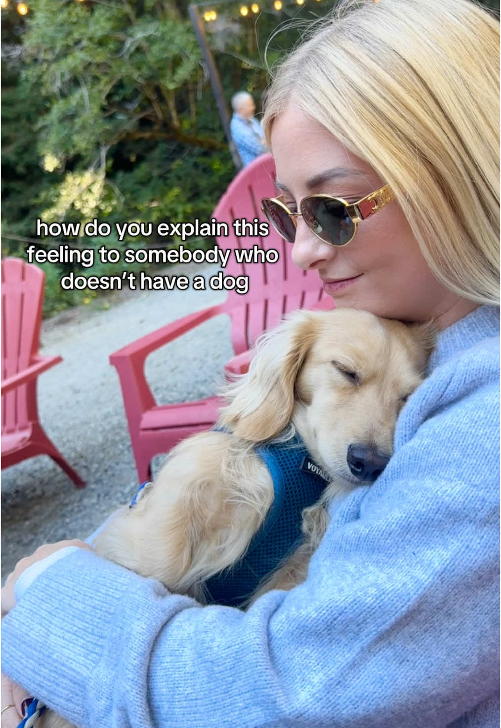 just the best 🥺🤍 #cute #doxie #puppy #Love #souldog #dachshund #longhaireddachshund 
