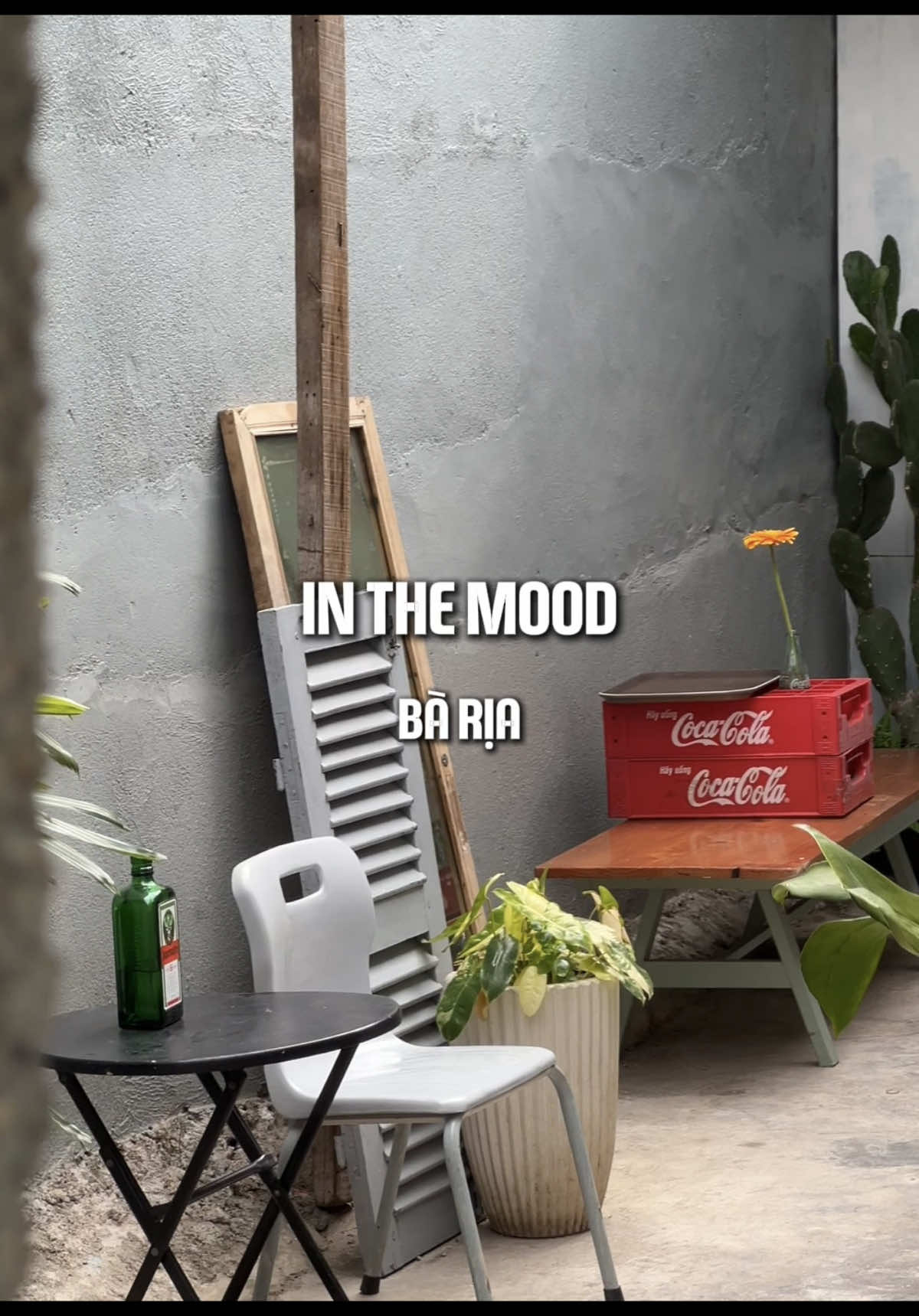 In The Mood  #baria #vungtau #coffee #inthemood #tuiovungtau 