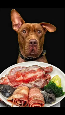 Pitbull eating rawfoods#ASMR #pitbull #satisfying #mukbang #dogasmr 