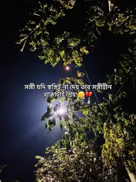 সঙ্গী যদি স্বস্তিই না দেয় তবে সঙ্গীহীন থাকাটাই শ্রেয়!🙂💔 #robin8080 #foryou #creatorsearchinsights 