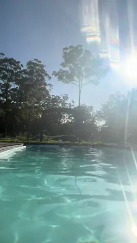 Arvo recovery and arvo bombs with westyyyyy  #recovery #pool #dog #dogswimming 