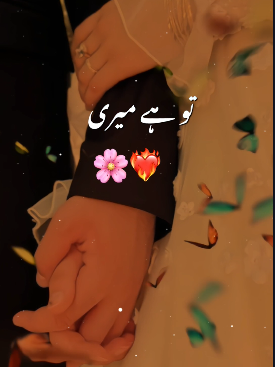 Tu meri jaaN hai>🦋🥰. . . . . .#foryou #fyp #4u #dikibaat #romanticvibes🎬💕 #standwithkashmir @TikTok @TiktokPakistanOfficial 