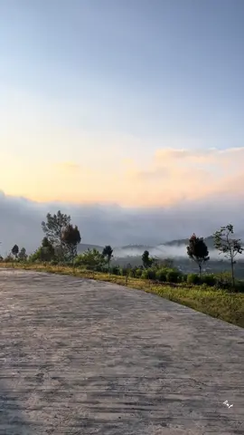 Morning View Camping🏕️  📍Igir Kandang,Kec Pulosari,Kab Pemalang  #fypage #camping #gunungslamet 